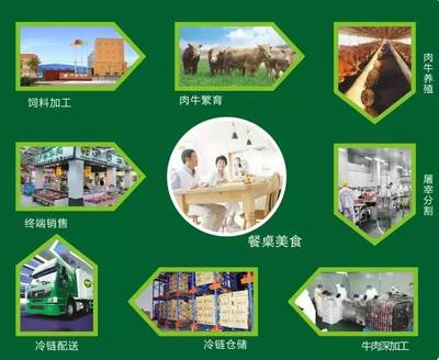伊赛牛肉丨筑牢全产业链,推动中国品牌走向世界