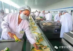 粮食库存高企无出路 这些办法你试过了吗