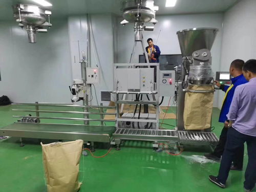 鱼饲料自动定量包装机10 60公斤厂家生产 价格