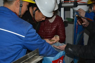 扬州通威新厂试机投产圆满成功