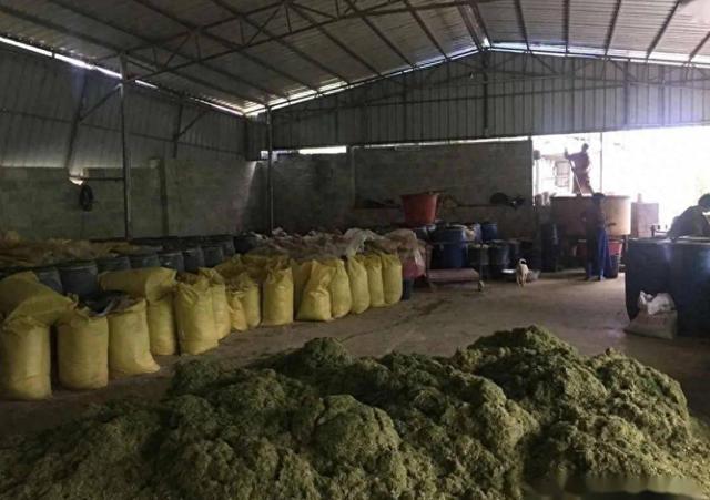 乌克兰军方被指利用动物饲料厂生产军粮，引发舆论关注