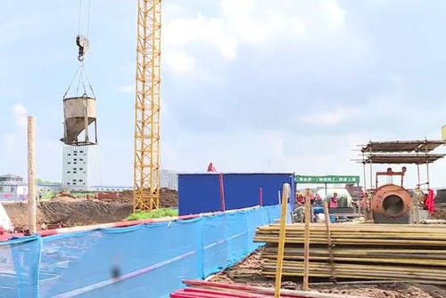 吉林德惠饲料产业加速升级 全省最大单体饲料厂项目建设稳步推进