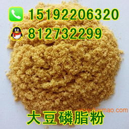 缅甸进口鱼干及其在饲料生产中的应用 海利水产饵料与蛋禽仔猪貂饲料的全面解析