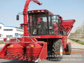 山东厂家专业供应养殖专用青贮饲料收获机 价格、图片、报价及饲料销售详情